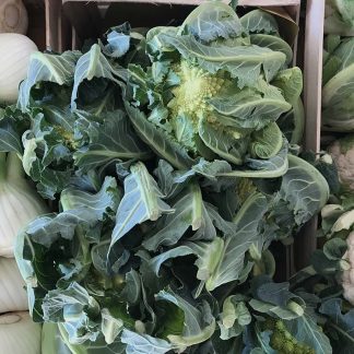 Cavolfiore Romanesco