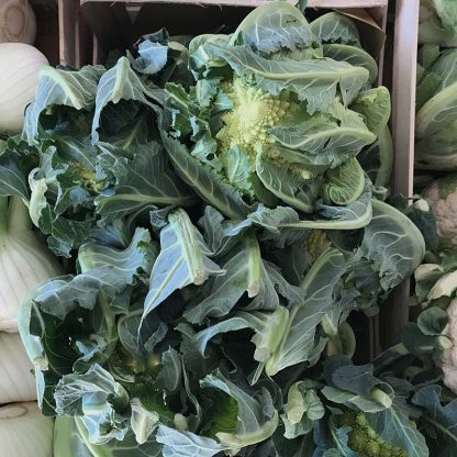 Cavolfiore Romanesco