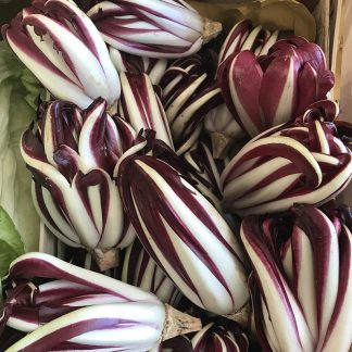 Radicchio Tardivo