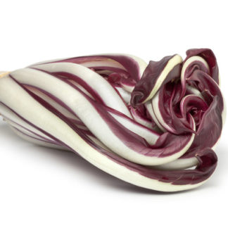 RADICCHIO TARDIVO BIO 400 gr.