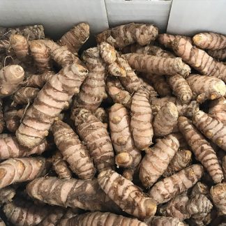 Curcuma