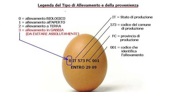 lettura-codice-uova