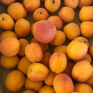 ALBICOCCHE 500 gr.