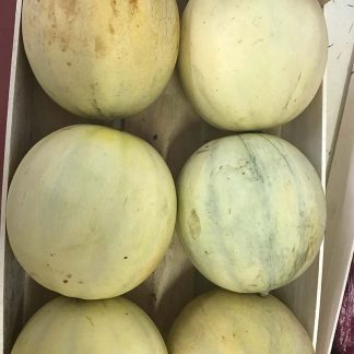 MELONE LISCIO BIO 1 kg.