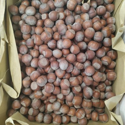 NOCCIOLA CON GUSCIO BIO 250 gr.