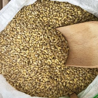 Orzo Perlato