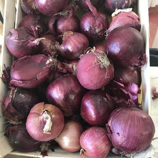 Cipolla Rossa