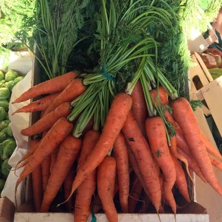 Carota a mazzo