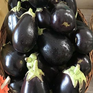 Melanzana Tonda