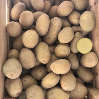 Patata Gialla