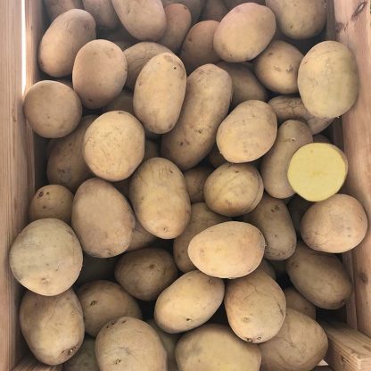 Patata Gialla