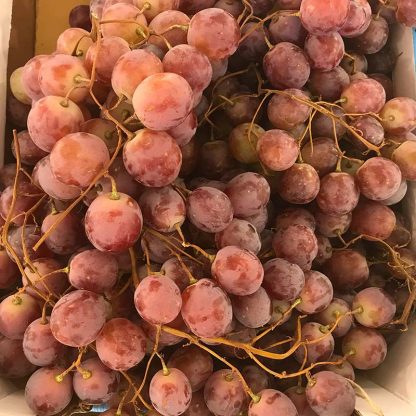 UVA RED GLOBE BIO 500 gr.