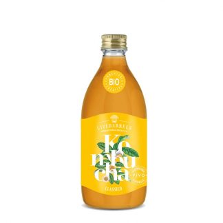 KOMBUCHA CLASSICO 330 ml.