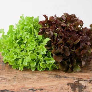 INSALATA DI QUERCIA