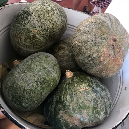 ZUCCA DELICA BIO 800 gr.