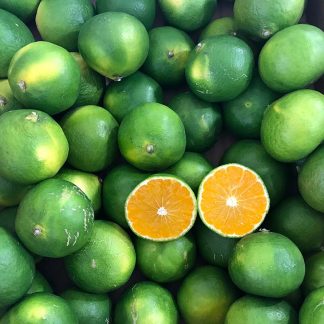 MANDARINO SATSUMA BIO 1 kg.