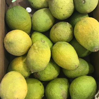 CEDRO BIO 400 gr.