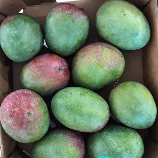 MANGO BIO ITALIANO 300 gr.