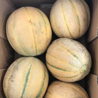 MELONE RETATO BIO 700 gr.