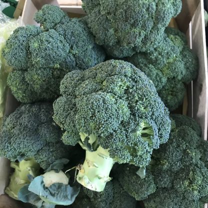 BROCCOLO BIO 500 gr.