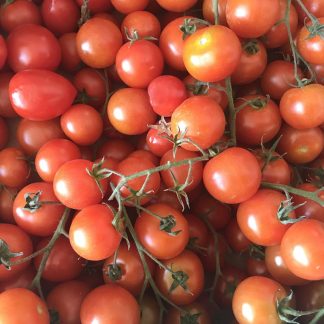 POMODORO CILIEGINO (el tamiso) 300 gr.