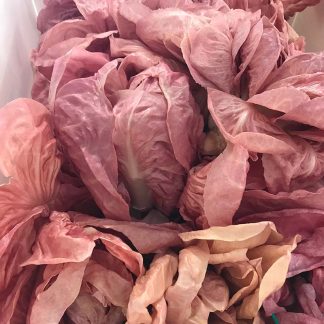 RADICCHIO ROSA BIO 400 gr.