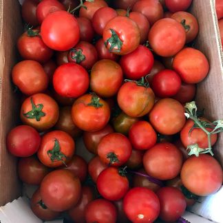POMODORO CAMONE BIO 1 kg.